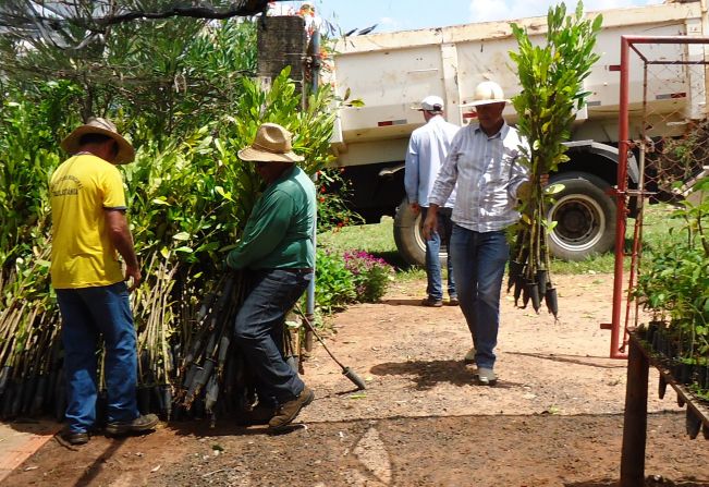 Paulistânia recebe mudas do Viveiro Futuro Florestal 